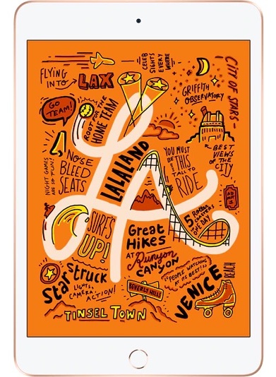 Apple iPad mini 5 7.9" (2019) 5th Gen Wifi 64 GB Gold Bun