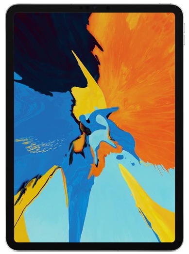 Apple iPad Pro 1 11.0" (2018) 1st Gen Cellular 1 TB Silver Ca nou