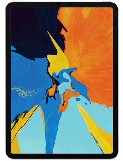 Apple iPad Pro 1 11.0" (2018) 1st Gen Wifi 256 GB Space Gray Ca nou